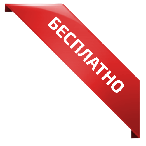 Бесплатно